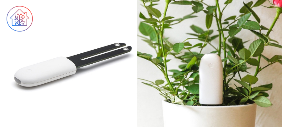 Xiaomi MiFlower Care avec intégration Bluetooth BLE